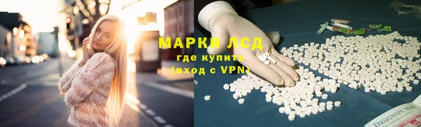 стаф Нефтегорск