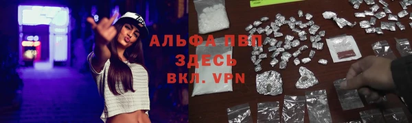 дурь Нефтекумск