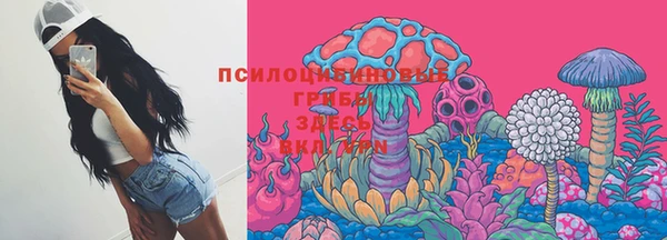 наркотики Белокуриха